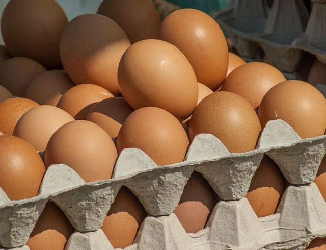 eggs Eggs