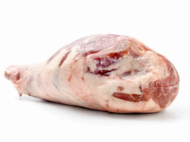 lamm top-view Riblets